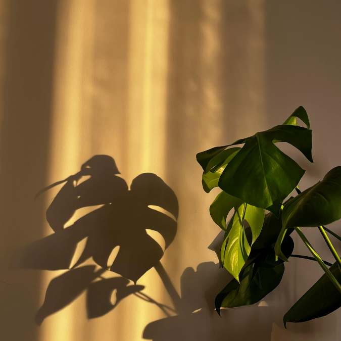 Why Growth Feels Heavy: The Hidden Price of Conscious Expansion Finding Meaning in Everyday Life: Moving Beyond Goals to Deeper Purpose