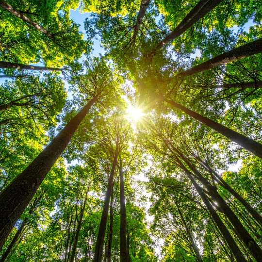 Finding Meaning in Everyday Life: Moving Beyond Goals to Deeper Purpose Finding Meaning in Everyday Life: Moving Beyond Goals to Deeper Purpose